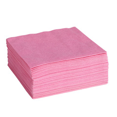 ClaraClean Go! SX 110 Tücher rot