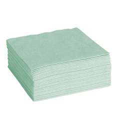 ClaraClean Go! SX 120 Tücher grün